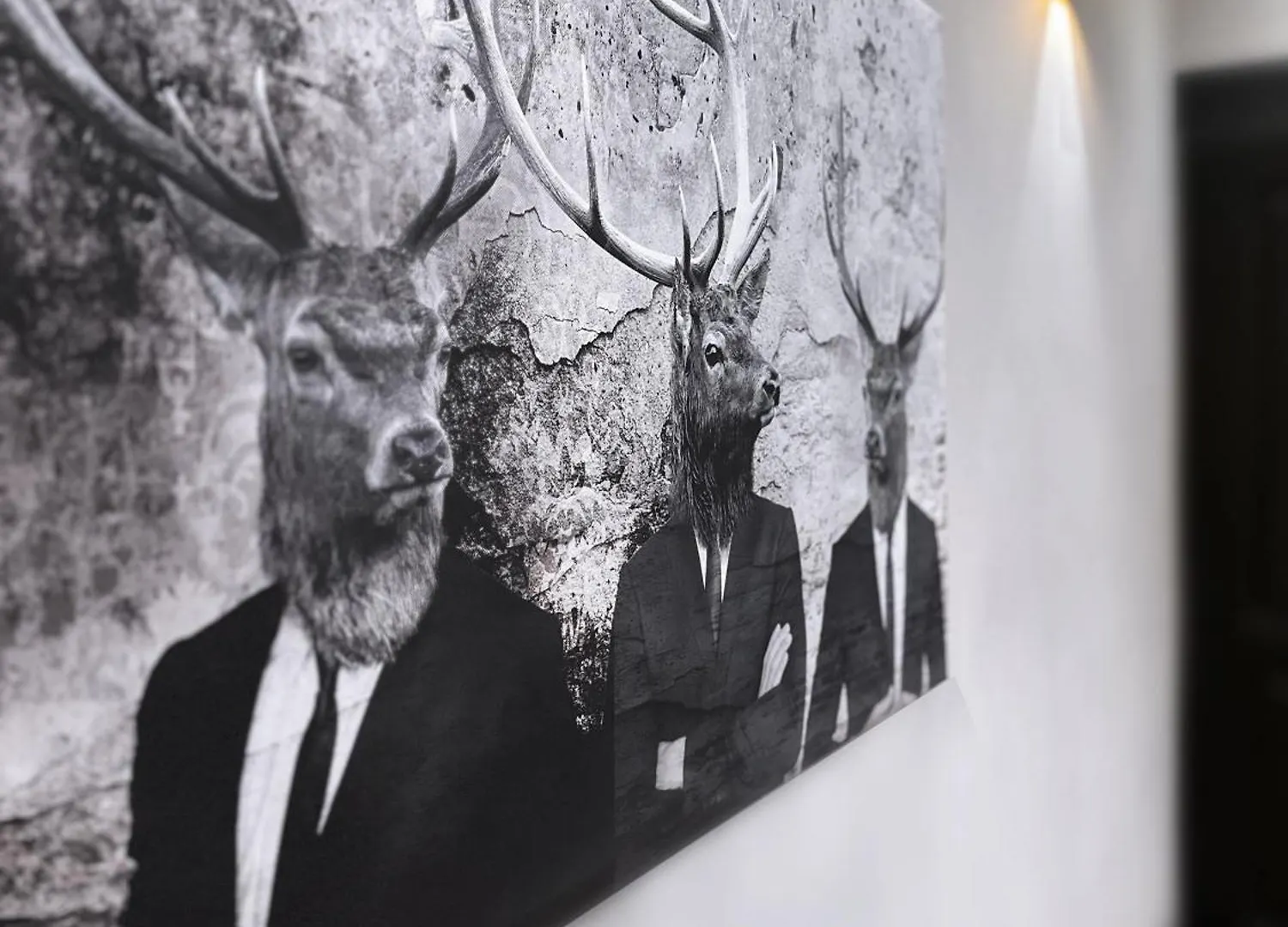 Black Suite 4 Luxus In Alsternaehe Hamburg Germany